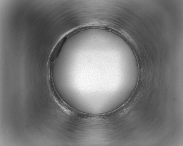 X0000074240838200609222057