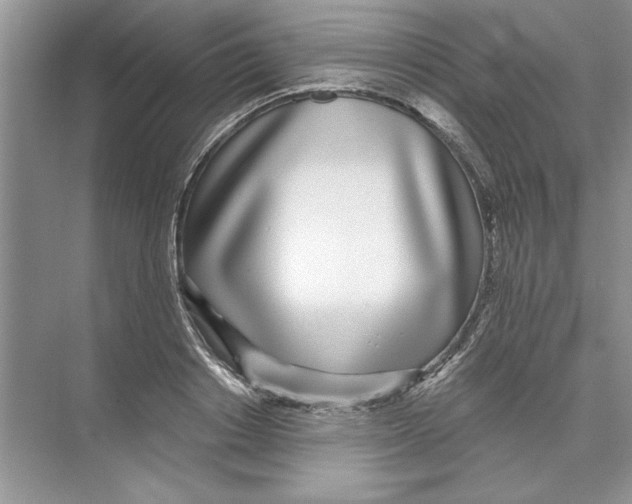 X0000074240842200609222057