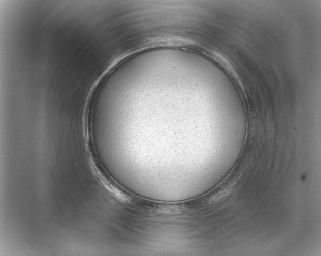 X0000074240843200609222057