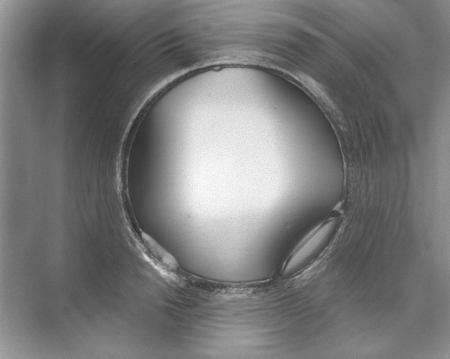 X0000074240846200609222057
