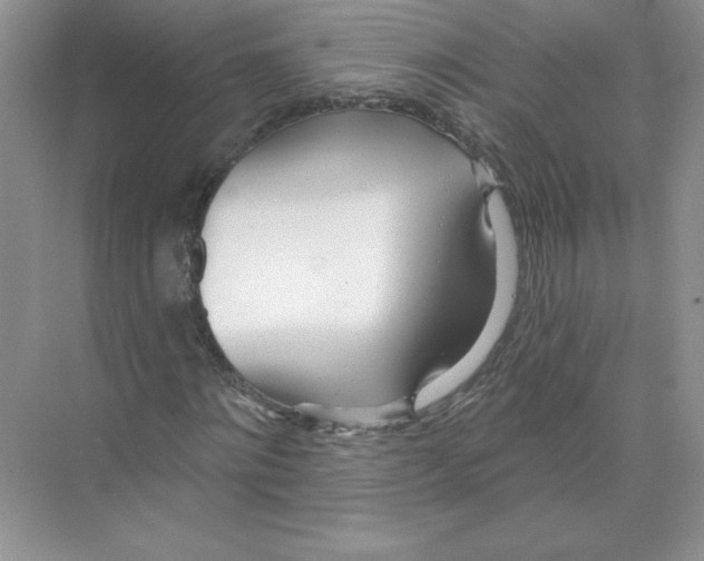 X0000074240868200609222056