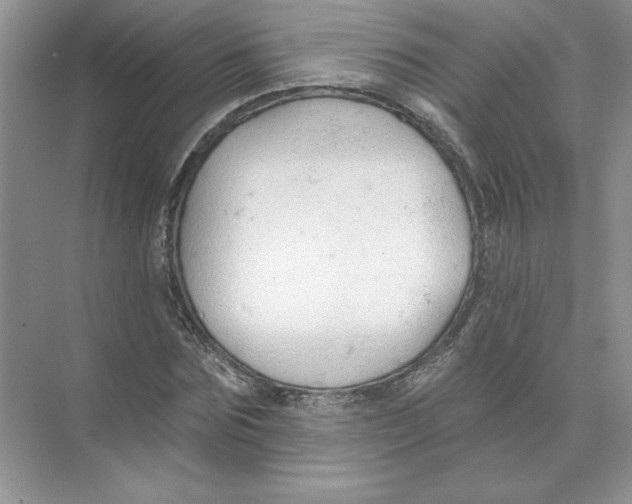 X0000074240875200609222056