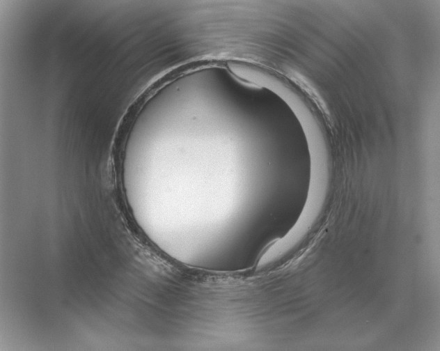 X0000074240876200609222056