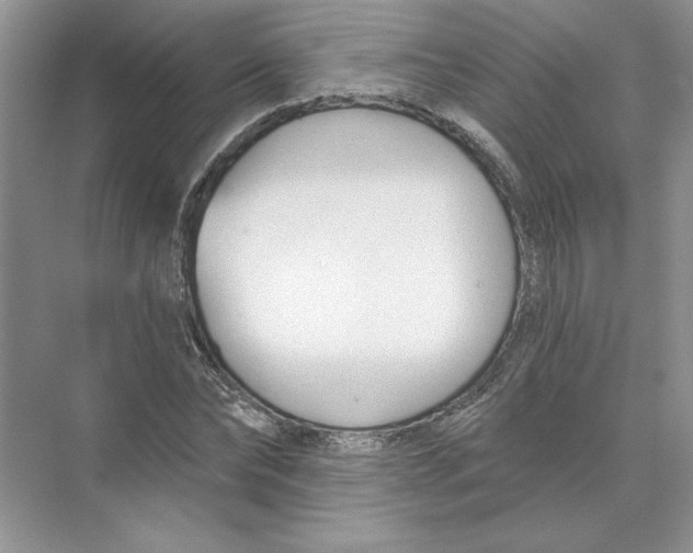 X0000074240878200609222056