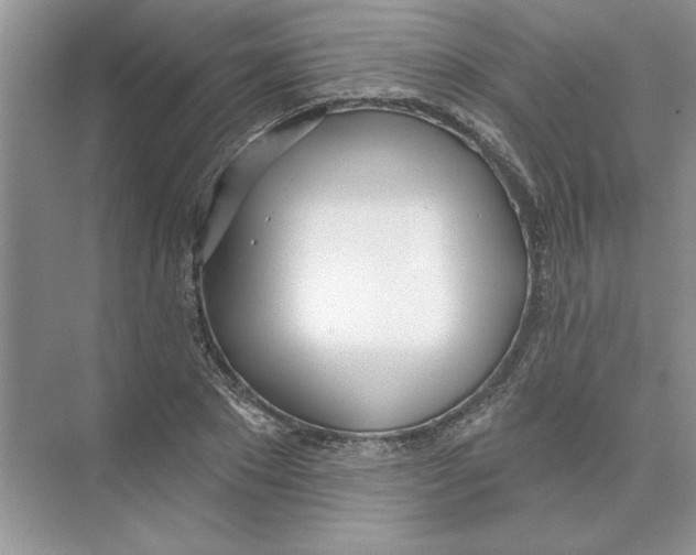 X0000074240881200609222056