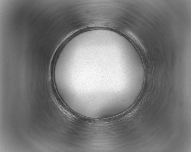 X0000074240884200609222056