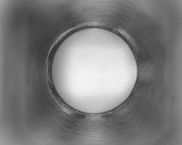X0000074240886200609222056