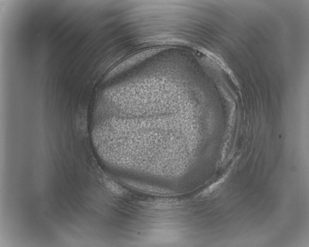 X0000074240889200609222056