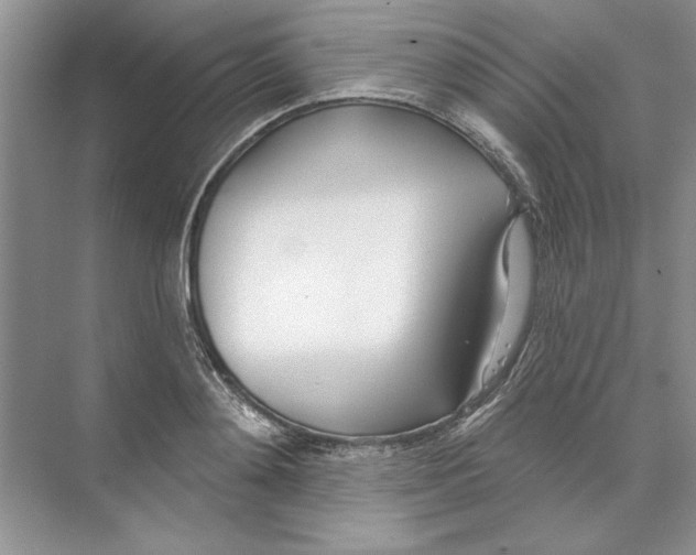 X0000074240892200609222056