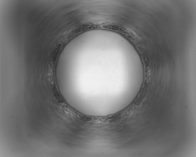 X0000074240917200609222055
