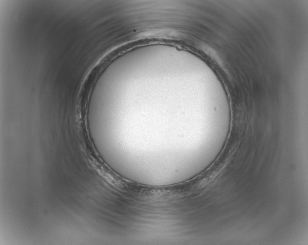 X0000074240923200609222055