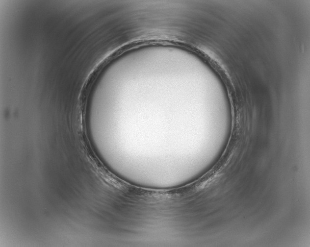 X0000074240925200609222055