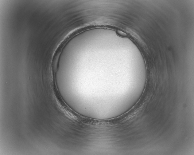 X0000074240934200609222055