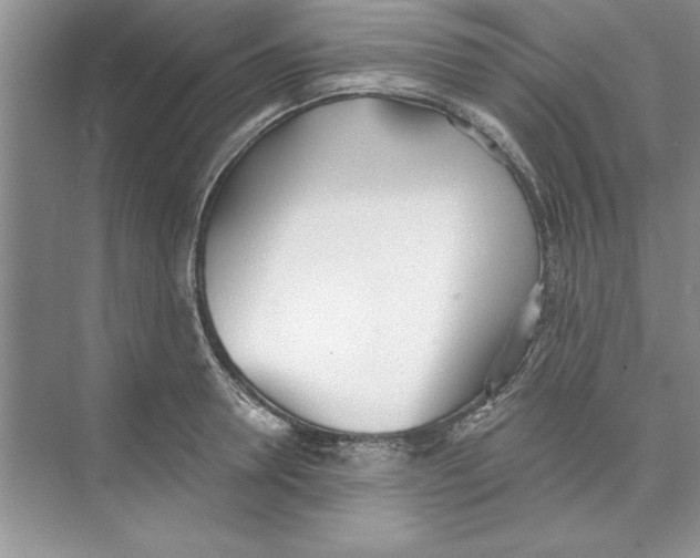 X0000074240946200609222055