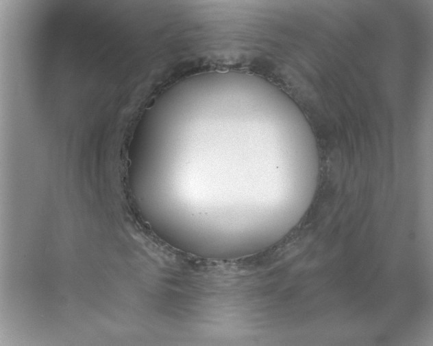 X0000074240961200609222055