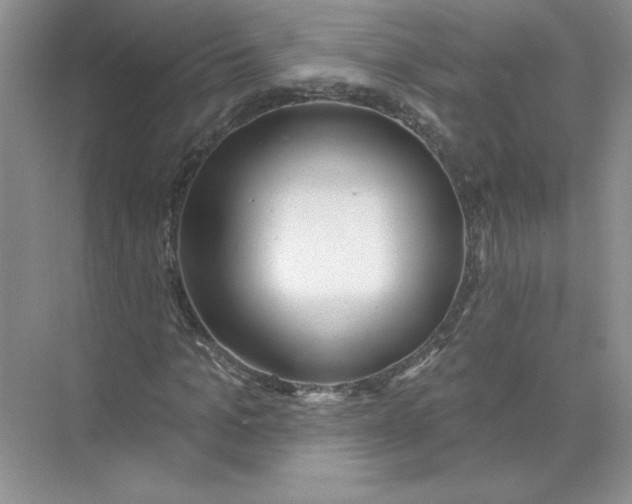 X0000074240965200609222055
