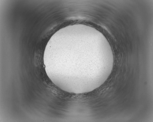 X0000074240967200609222055