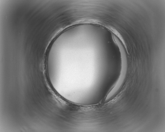 X0000074240997200609222054