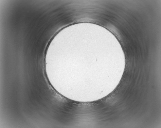 X0000074241000200609222054