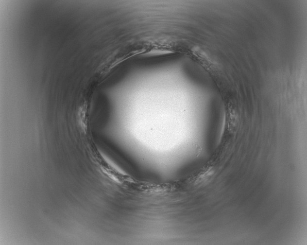 X0000074241010200609222053