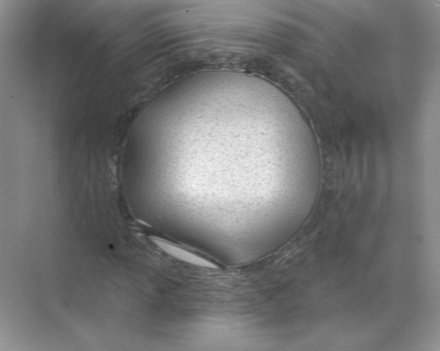 X0000074241013200609222053