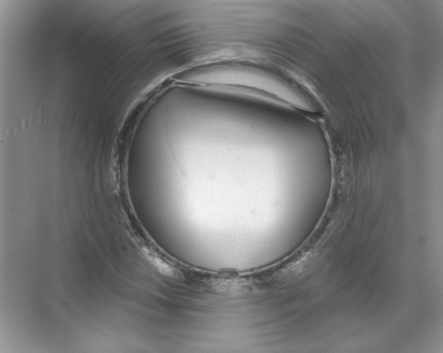 X0000074241018200609222053