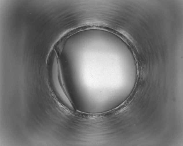 X0000074241022200609222053