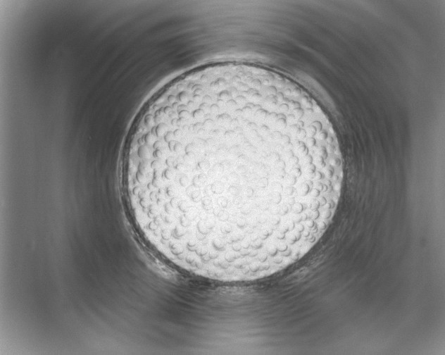 X0000074241044200609222054