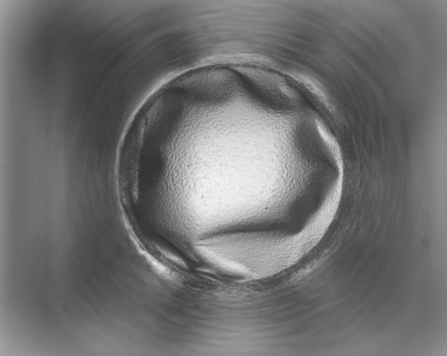 X0000074241046200609222054