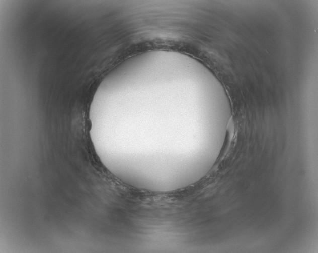 X0000074241061200609222053
