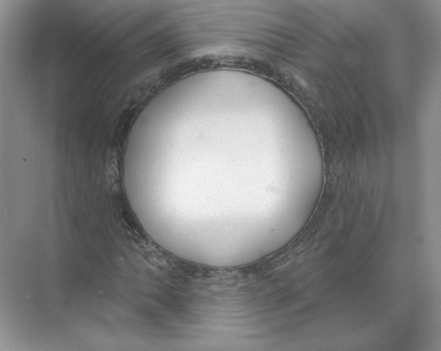 X0000074241062200609222053