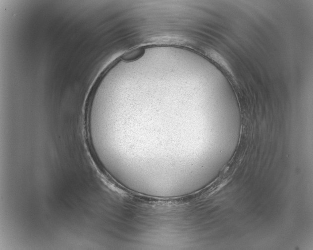 X0000074241087200609222053