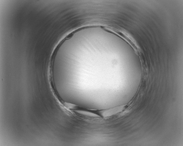 X0000074241101200609222052