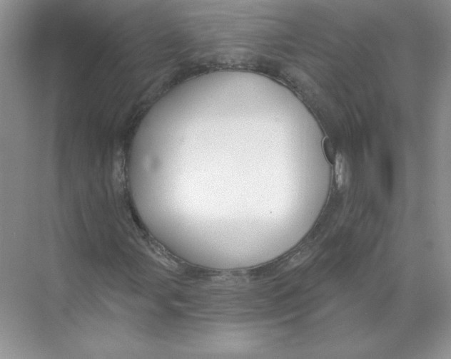 X0000074241107200609222052