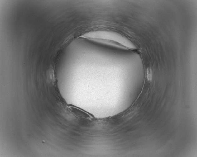 X0000074241155200609222052