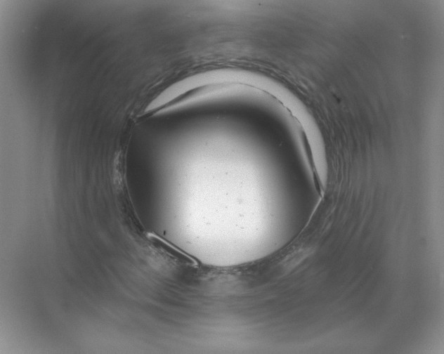 X0000074241156200609222052