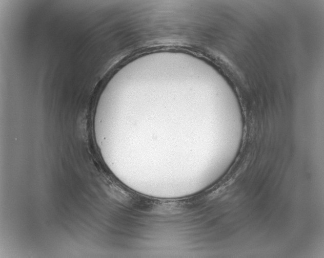X0000074241162200609222051