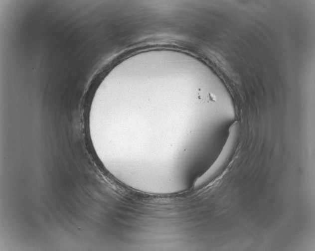 X0000074241164200609222051