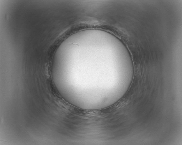 X0000074241205200609222050