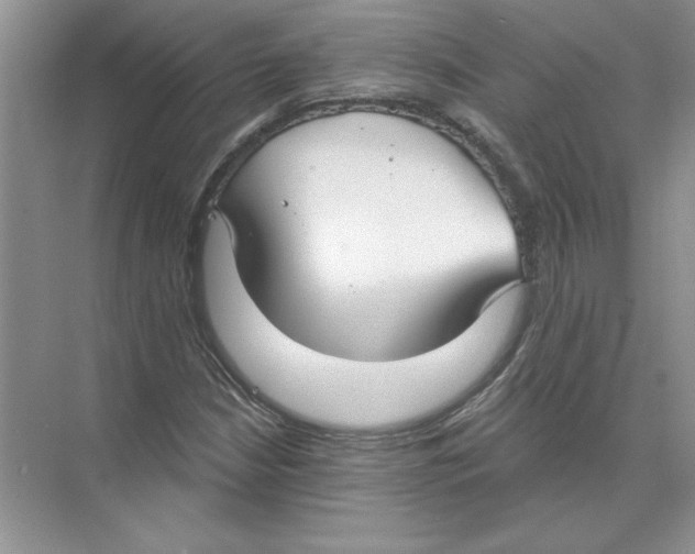 X0000074241210200609222050