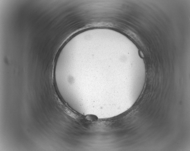 X0000074241228200609222050