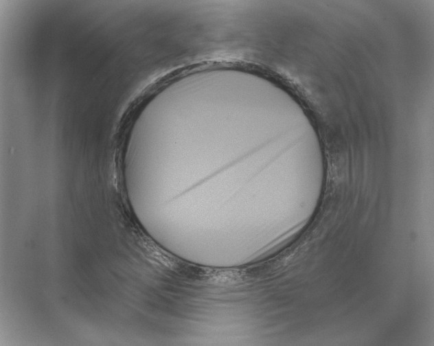 X0000074241262200609222050