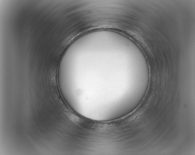 X0000074241273200609222050
