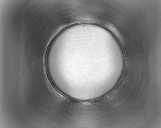 X0000074241283200609222049