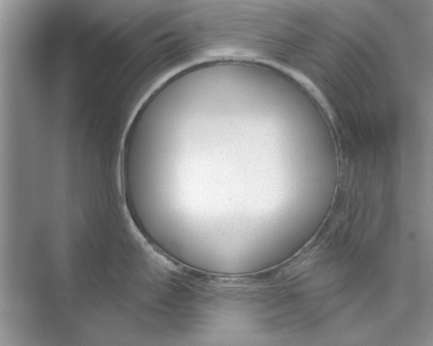 X0000074241295200609222049