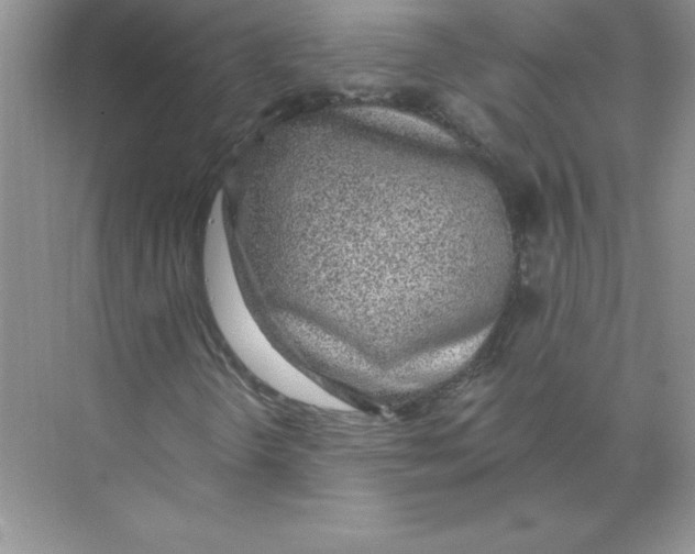 X0000074241298200609222048