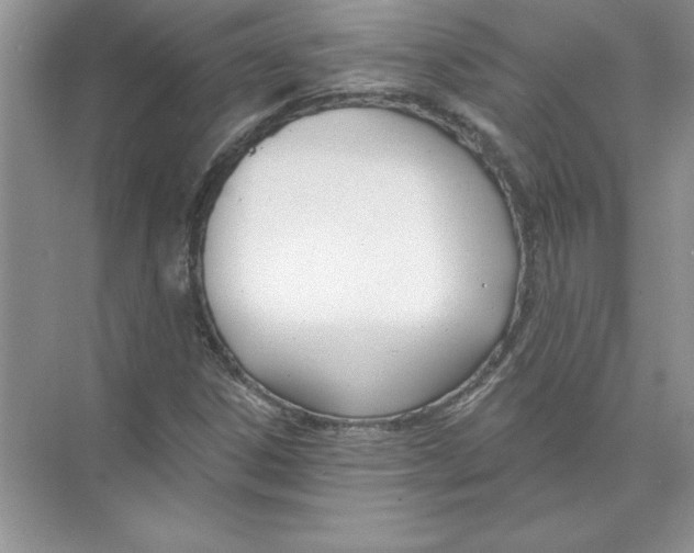 X0000074241306200609222049