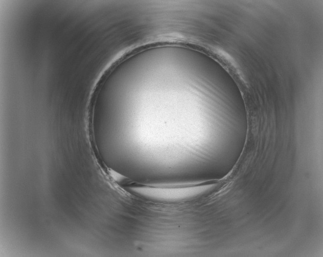 X0000074241326200609222049