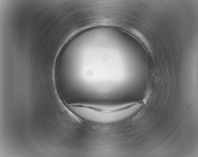 X0000074241334200609222049