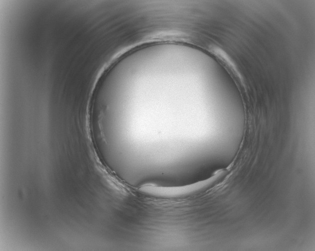 X0000074241336200609222049